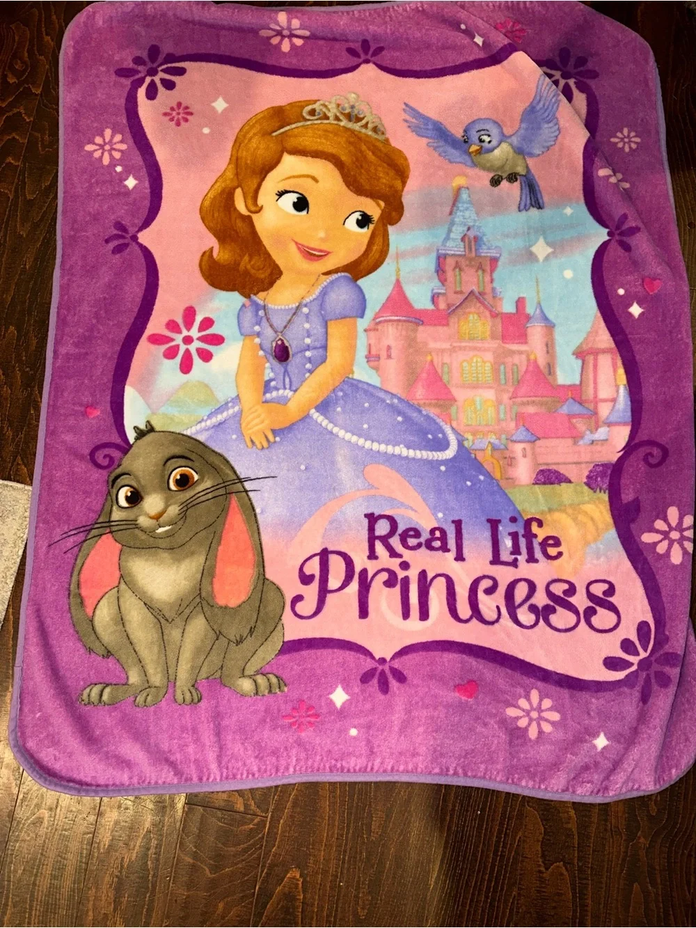 Disney Sofia the First plush throw blanket featuring Sofia and Clover the Rabbit